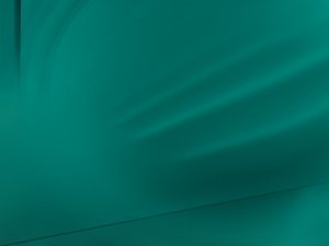 域名竞价攻略：从选域名到成交